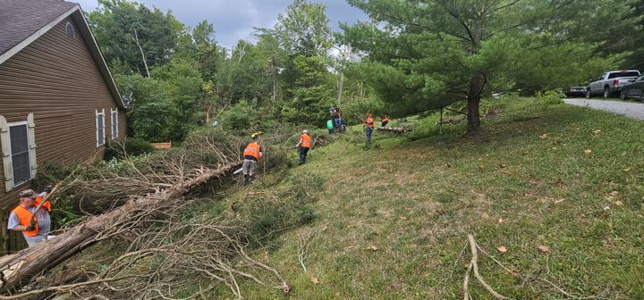 Chainsaw crew clearing downed trees from a yard